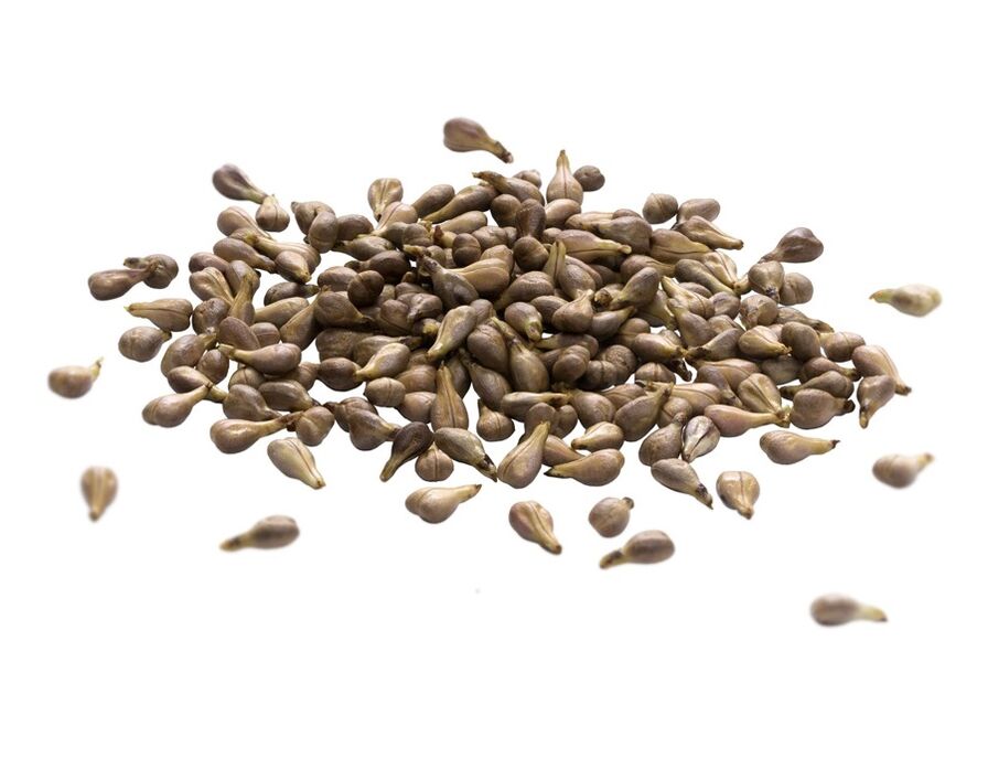 Creme varicone contém óleo de semente de uva