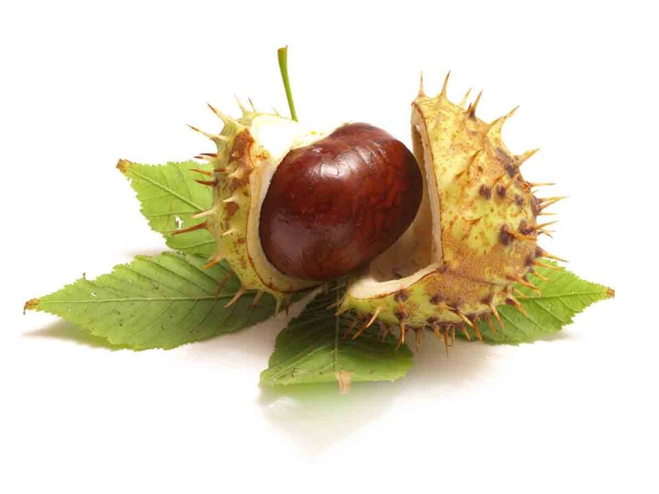 Varicone Cream contém extrato de castanha de cavalo